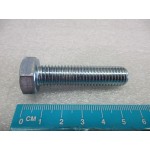 SCREW - 00000010069-BG