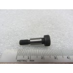 SCREW - 00000011025-BG