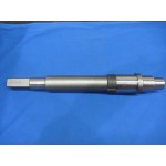 PIVOT SHAFT - 01067862901-BG